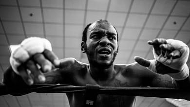grayscale photo of boxer