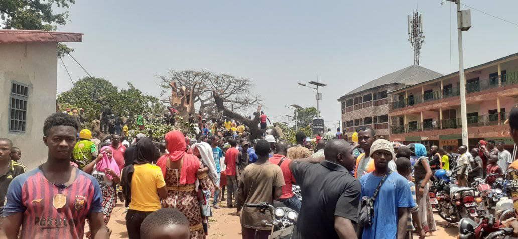 Le baobab qui se trouve tout près du terrain de la gare est tombé