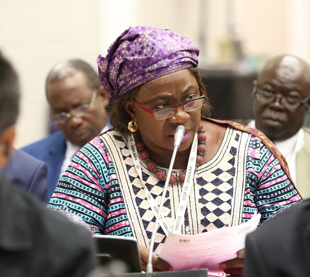 La Ministre de l’Environnement, des Eaux et Forêts Hadja Christine Sagno