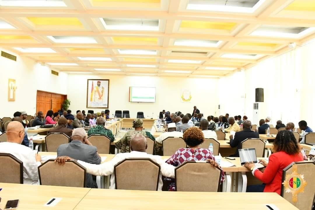 Constitution Guinée