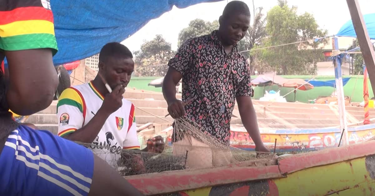 Pêcheurs de Conakry
