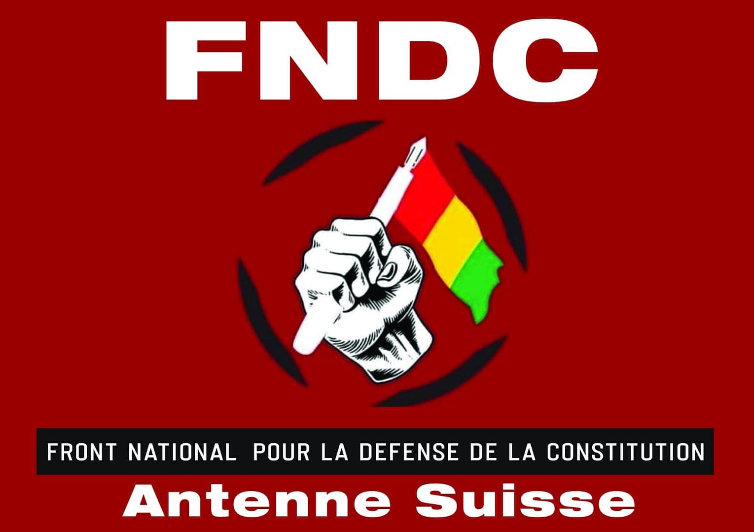 FNDC SUISSE