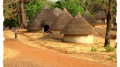J'ai vendu 3 gros taureaux pour ça et j'aurais encore de quoi faire des amplettes pour les enfants. 4 Village guinéen
