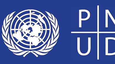 Avis de Recrutement d’un Consultant (e) National(e). 3 pnud