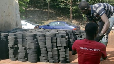 SOUS LE PLASTIQUE, LES PAVÉS: LE PARI DE L'ANCIEN FOOTBALLEUR ROGER MILLA AU CAMEROUN 6 Des Camerounais transportent des déchets plastiques recyclés en pavs le 1er février 2016 à Yaoundé | AFP | REINNIER KAZE