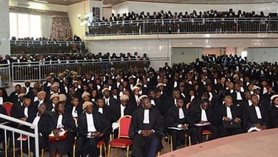 Cameroun : l’Ordre des avocats rejette le projet de loi portant révision du Code pénal 1 avocats_barreau_cameroun