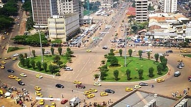 Cameroun : 10 à 15 millions d’hectares dégradés à restaurer (ministre) 7 yaounde cameroun