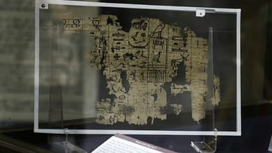 LE PLUS VIEUX TEXTE ÉCRIT SUR DU PAPYRUS EXPOSÉ EN EGYPTE 6 Le papyrus a été retrouvé en "plus de mille" morceaux, selon un archéologue à l'origine de la découverte | AFP | MOHAMED EL-RAAI