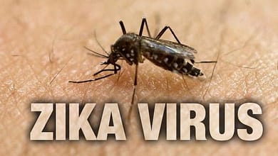 L’Afrique de l’Ouest menacée par le virus Zika, selon le gouvernement ivoirien 5 zika virus