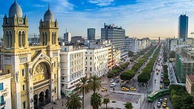 Tunisie: déficit commercial de 3,07 milliards $ durant les sept premiers mois de 2016 7 tunisie-deficit-commercial-de-3-07-milliards-durant-les-sept-premiers-mois-de-2016