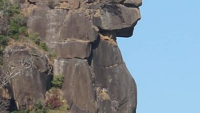 La Dame du Mali est un véritable chef d’œuvre de la nature 6 6A677143 99CB 4FFC A3C7 358D6B31FA9A