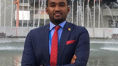 PROBLÈME CONSTITUTIONNEL - MON AVIS (Par Cellou Diallo) 4 Cellou diallo