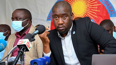 Guinée Politque : Un aperçu de quelques grands axes de la vision politique du #MoDeL 1 Aliou BAH MoDeL