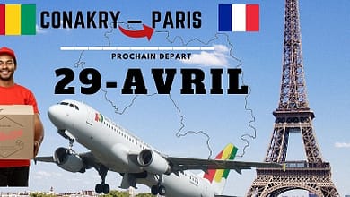 Envoyez un colis en France depuis la Guinée 1 Envoyez un colis en France depuis la Guinée