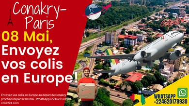 Envoyez des documents des vêtements de la nourriture vers l'Europe grâce à colis224.com 4 Envoyez des documents des vêtements de la nourriture