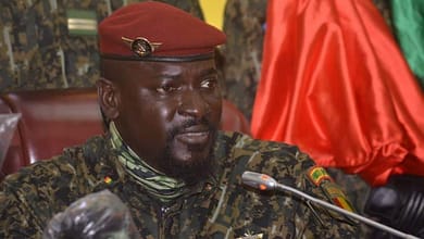 ARRÊT SUR REGARD… D’UN FAUVE ? Par Soulay Thiâ'nguel Bah 8 FB IMG 1633496433736