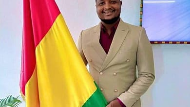 Laissez le ministre tranquille ! (Par Elhadj Ousmane Baldé) 3 Elhadj Ousmane Baldé