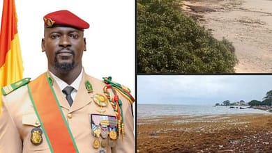 Projet d'intérêt national ( PIN ) pour l'aménagement et la construction d'un Parc urbain de la ville de Conakry . 6 IMG 20220919 172620
