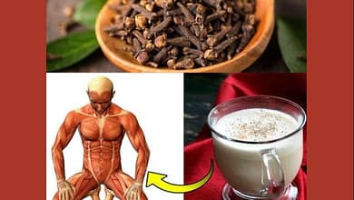CLOU DE GIROFLE Avec seulement une poignée de clous de girofle et une tasse de lait, vous pouvez soigner pas moins de 20 maladies! 7 CLOU DE GIROFLE