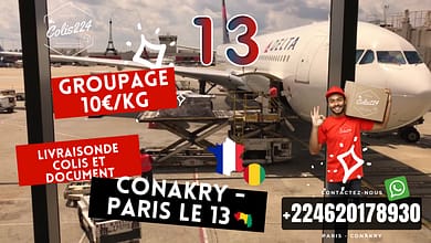 6 Groupage Conakry Paris le 13