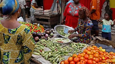 Alerte ! Protégeons nos entrepreneurs agricoles ! 4 FB IMG 1677933185300