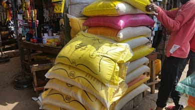 Le Colonel Mamadi Doumbouya sauvé par l'Inde : Les Enjeux Cruciaux autour du riz 2 173735098 319987262878116 4595893511591932117 n 735x400 1