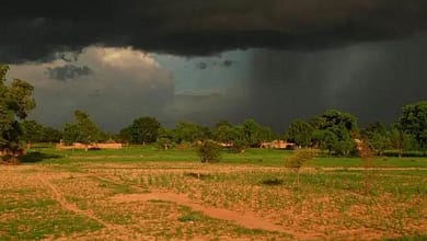 Les hivernages, maintenant et la notion de pluie utile 8 arton30784