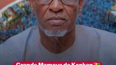 ELHADJ ALSENY BARRY, PARRAIN DE LA MAMAYA 2024: UN CHOIX QUI INTERROGE L'HISTOIRE ! 8 ELHADJ ALSENY BARRY, PARRAIN DE LA MAMAYA 2024: UN CHOIX QUI INTERROGE L'HISTOIRE !