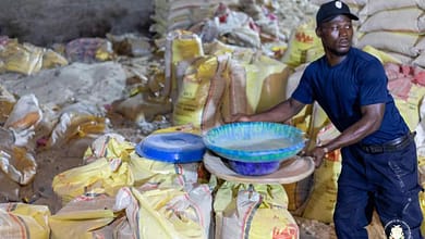 Ramadan : CIAO Guinée casse les prix du riz, de l’huile et de l’oignon 5 10 000 sacs de riz avarié saisis en Guinée : un réseau démantelé