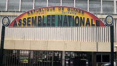 Les régulations sur la propriété intellectuelle en Guinée. 2 Assemblée-nationale-de-Guinée