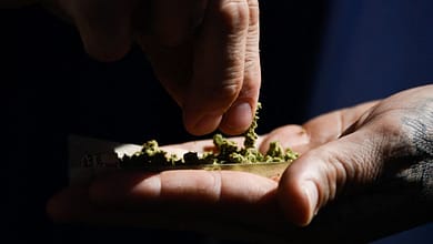 "Kush" : La drogue qui consume la jeunesse ouest-africaine dans l’indifférence générale 7 Kush