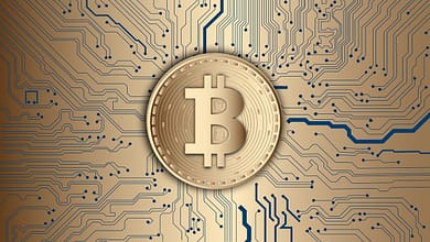 Les plateformes d’échange de cryptomonnaies accessibles en Guinée. 4 crypto 1739393716