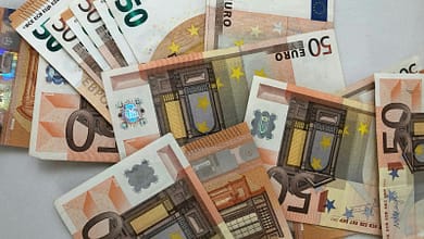 50 euro banknote lot on white surface