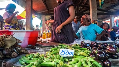 Inflation galopante : le prix du gombo s’envole, les ménages étranglés 1 GPJNEWS DRC ZA DONGO DONGO1 EDIT 1 scaled