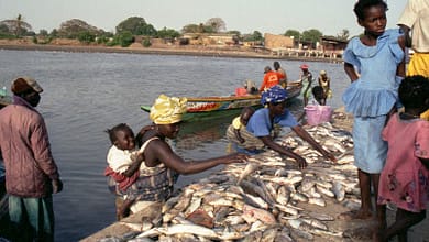 People are buying and selling fish by the water.