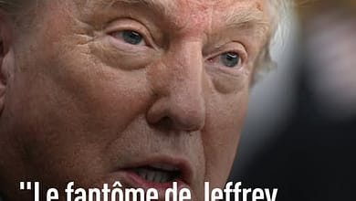 Jeffrey Epstein Donald Trump