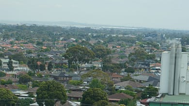 Top 5 des villes guinéennes à fort potentiel immobilier 5 Cityscape with houses and trees under a cloudy sky.