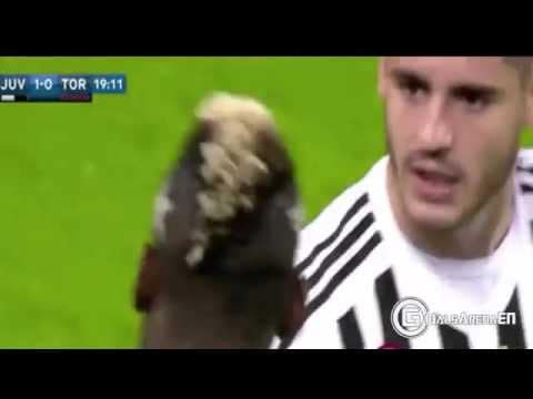 La Juve, Paul Pogba symbolise le marasme du début de saison de la Vieille Dame. 1 hqdefault