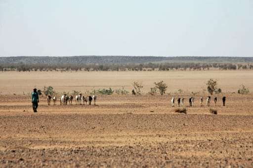 Photo prise dans le désert nigérien le 23 février 2005, entre Agadez et Arlit, à 850 km au nord de Niamey | AFP/Archives | PIERRE VERDY