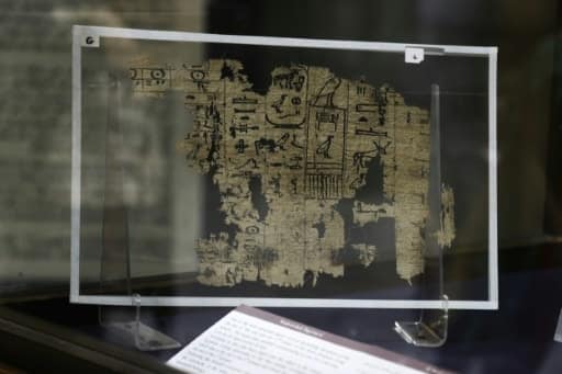 Le papyrus a été retrouvé en "plus de mille" morceaux, selon un archéologue à l'origine de la découverte | AFP | MOHAMED EL-RAAI