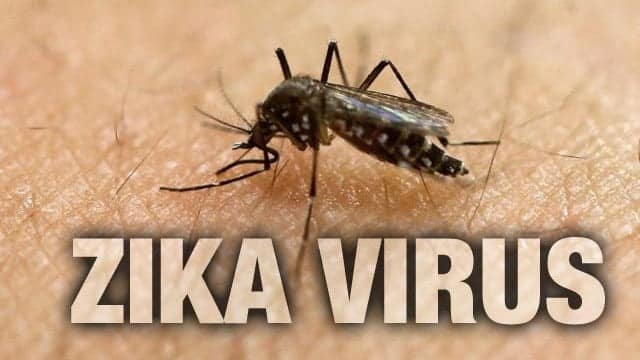 zika virus