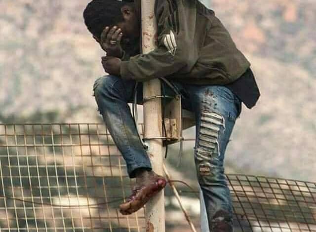 Ils en ont eu ras le bol de toutes les balivernes 1 Ils en ont eu ras le bol de toutes les balivernes