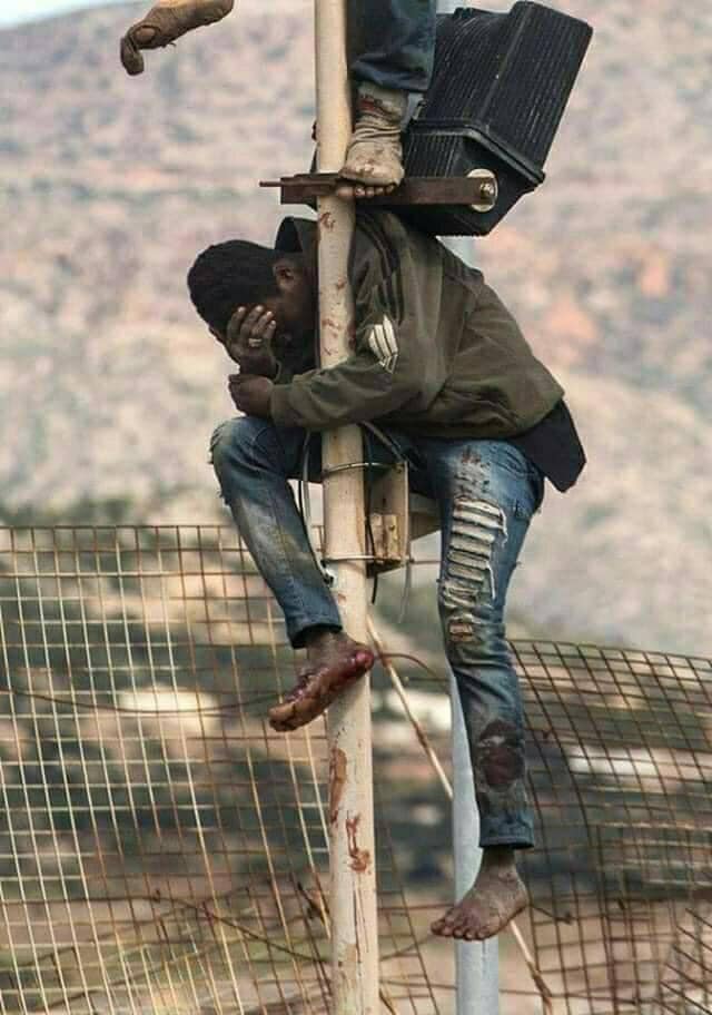 Ils en ont eu ras le bol de toutes les balivernes