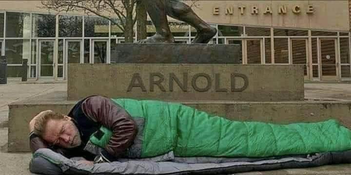 L'Acteur Arnold Schwarzenegger