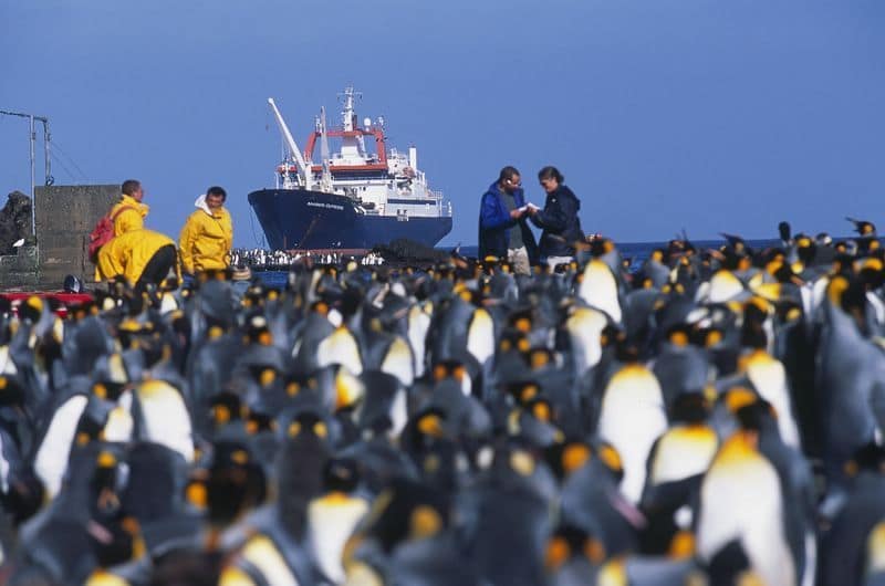 la Journée Mondiale de l'Océan