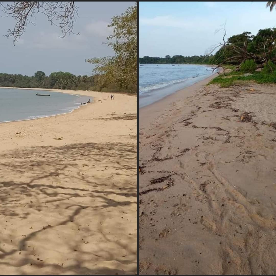 Quand je vous dis que le guinéen est fort pour détruire son pays, croyez-moi.